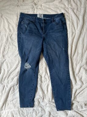 Lane Bryant Dark Blue Skinny Jeans with Distressed Knee